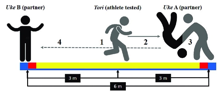 Results of the Senior Fitness Test (SFT) according to norm for the