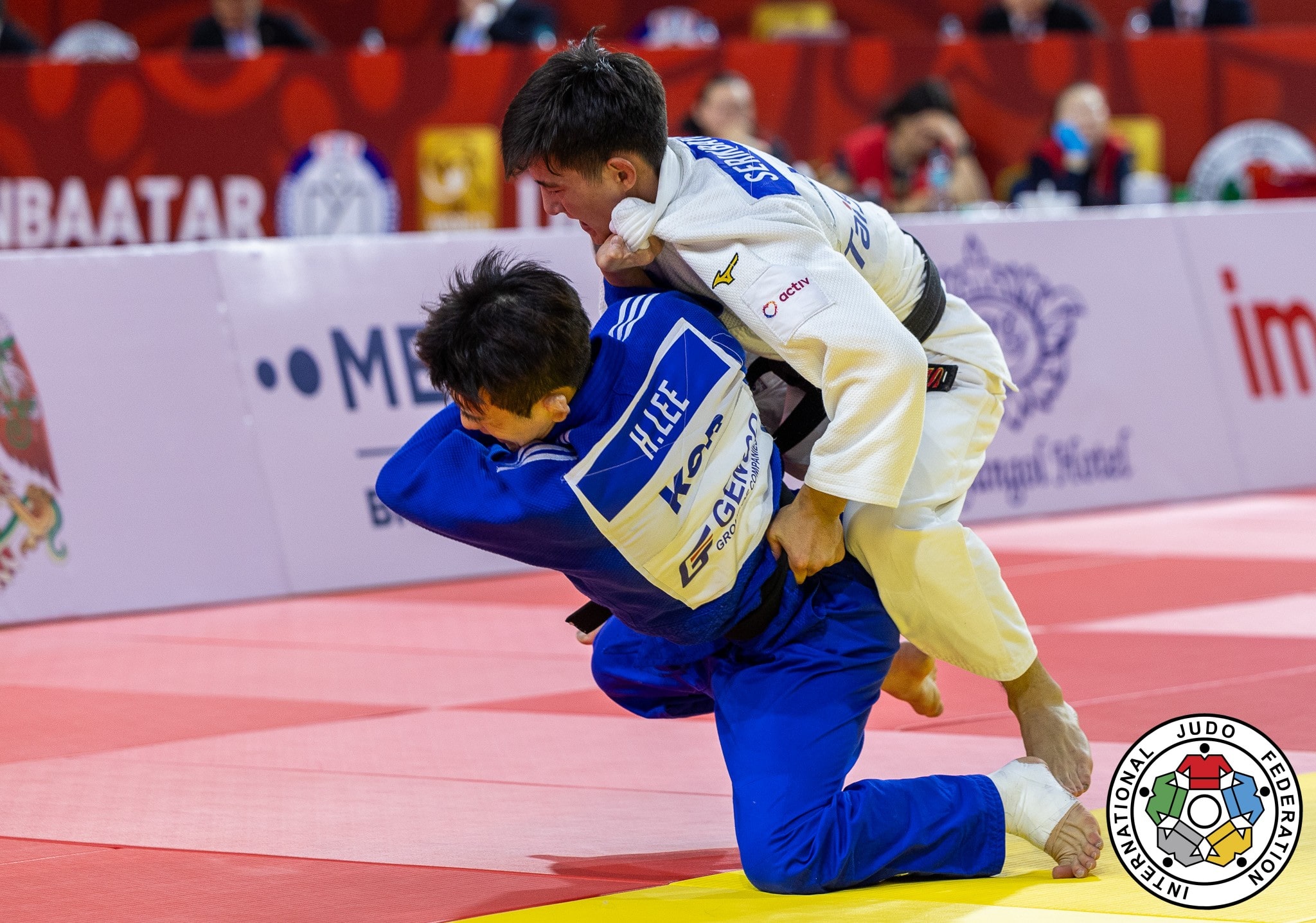 Comparing the seoi-nage skill of elite and non-elite judo athletes - Judo  Training